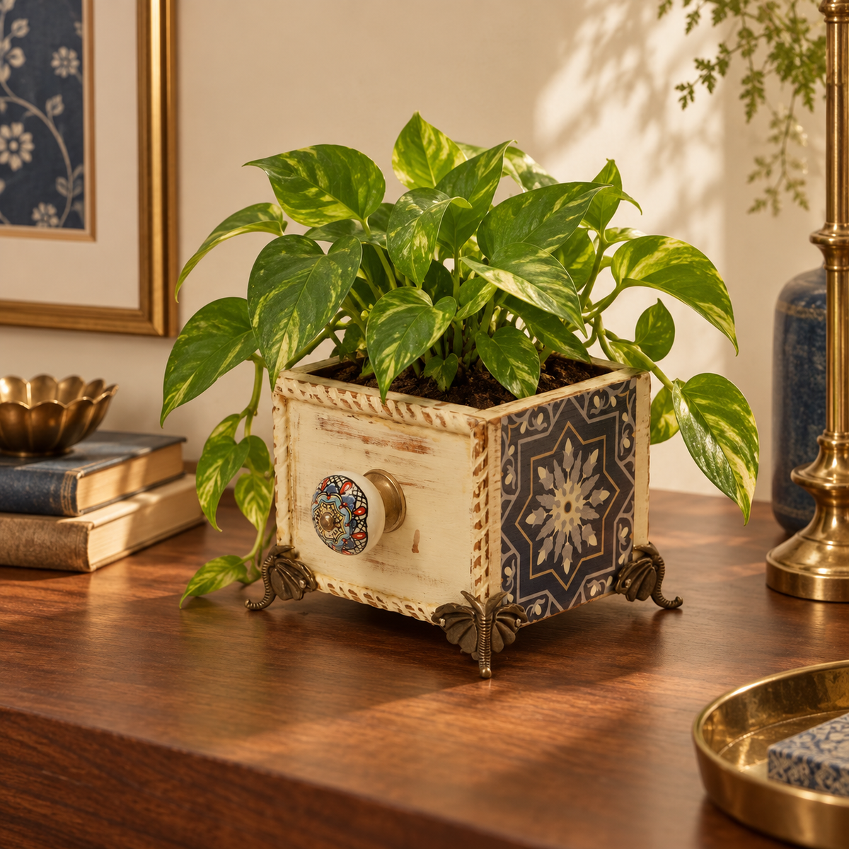 Handcrafted Blue Decoupage Planter 167 with money plant lifestyle setting for table or shelf décor – hoWme