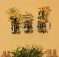 Handcrafted Brown wooden wall planter with three glass mason jars – hoWme